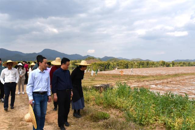 专家组实地调研考察。