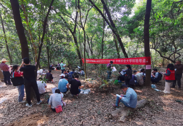 林地考试现场
