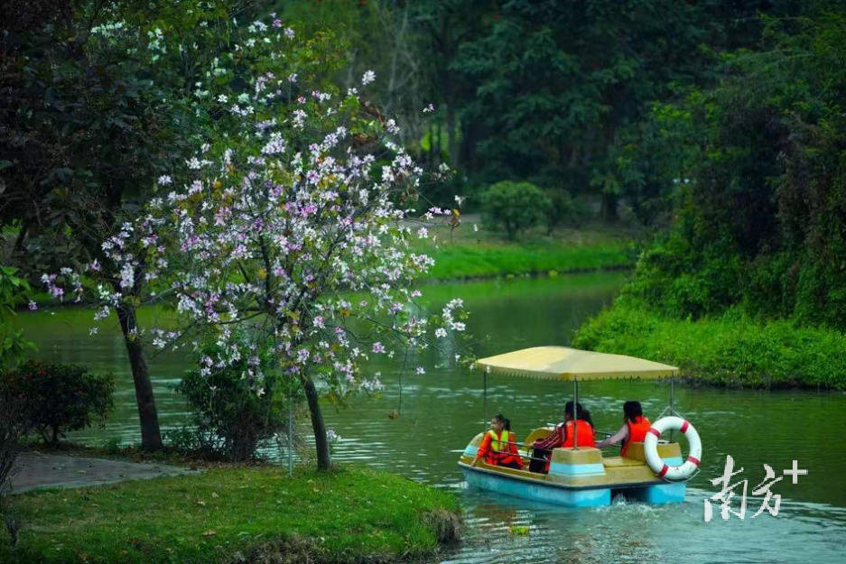 水乡生态特色显著，河网密度是珠三角平均水平的两倍之多。