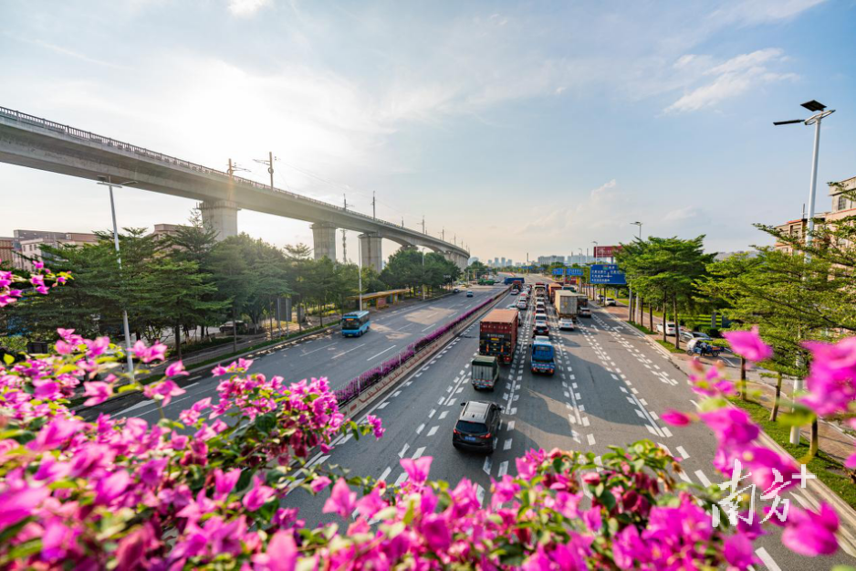 水乡大道处处体现岭南水乡风情。