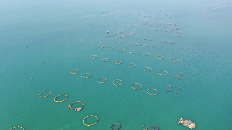 中國第一經(jīng)濟(jì)大省唱響“海上牧歌”，釋放什么重要信號,？