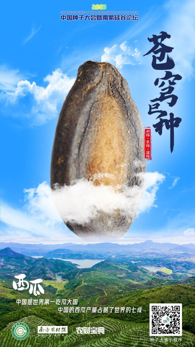 西瓜：中国是世界第一吃瓜大国，中国的西瓜产量占据了世界的七成。