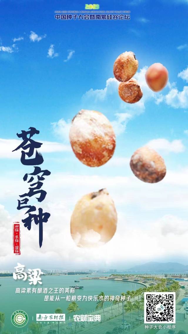 高粱：高粱素有酿酒之王的美称，是能从一粒粮变为快乐水的神奇种子。  