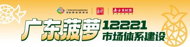 菠萝消费热潮“狂飙”，成春天里最“红”的水果