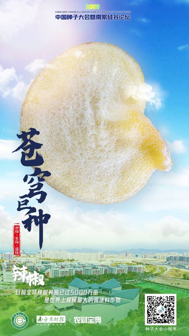 辣椒：目前全球辣椒种植已过5000万亩，是世界上规模最大的调味料作物。