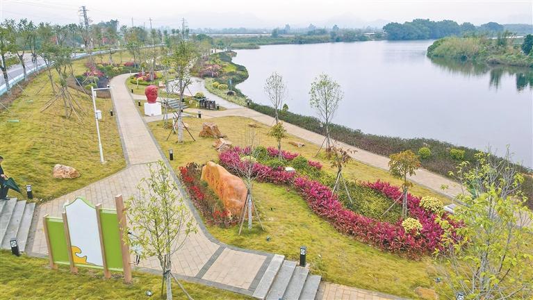 两座莲花山 同心谱新篇 深圳对口帮扶汕尾产业振兴出硬招见实效