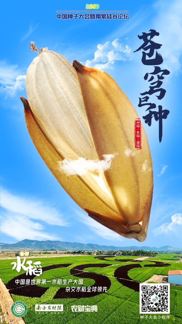 水稻：中国是世界第一水稻生产大国，杂交水稻全球领先。 