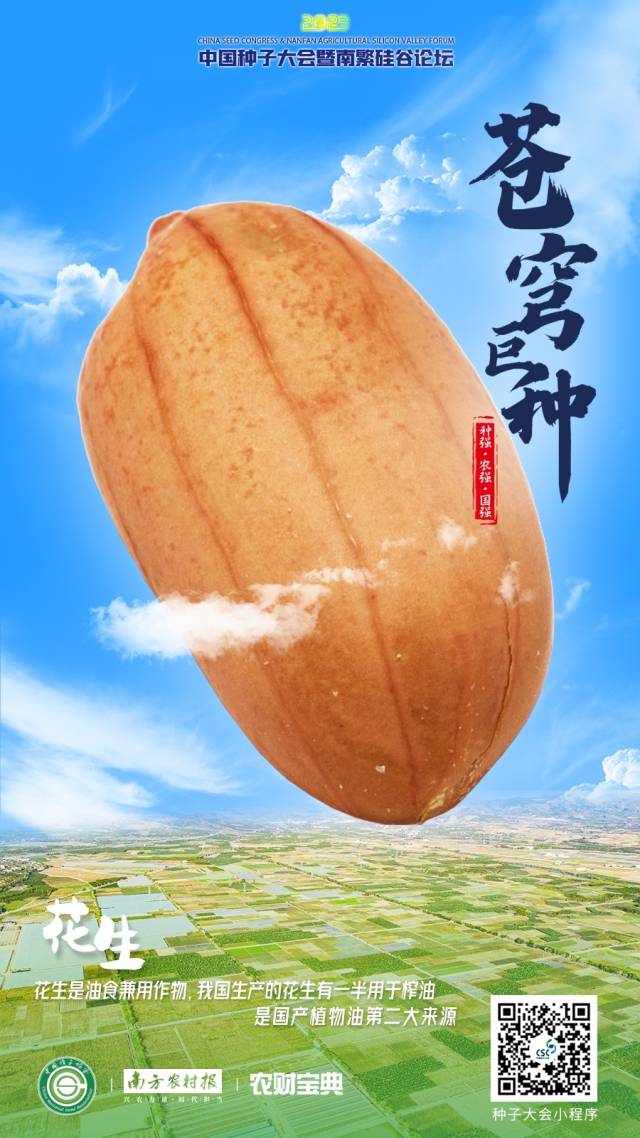 花生：花生是油食兼用作物，我国生产的花生有一半用于榨油，是国产植物油第二大来源。  