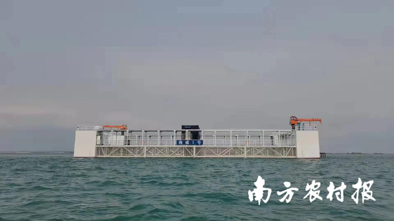 廣東將打造現(xiàn)代化海洋牧場種業(yè)“南繁硅谷”