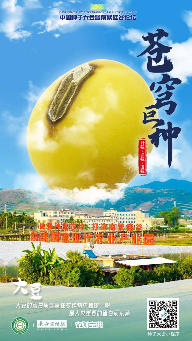 大豆：大豆的蛋白质含量在农作物中独树一帜，是人类重要的蛋白质来源。 