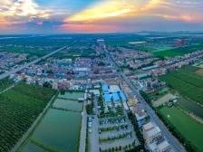 万顷沙：广深联动“最前沿”｜高质量发展朝“南”看