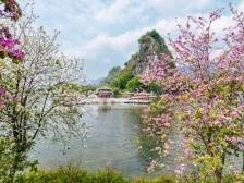 《南方日报•肇庆观察》：抢跑新赛道激发县镇村活力