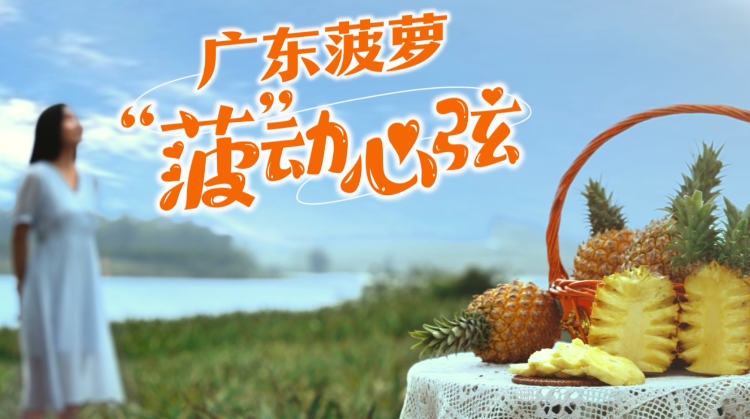 “菠”動(dòng)心弦,！廣東菠蘿又又又要美上央視了