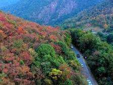 广州发布2023年第1号总林长令