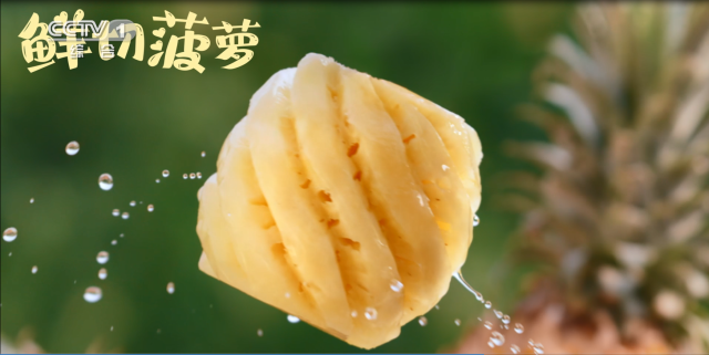 南方農(nóng)村報 樊靜東 制圖