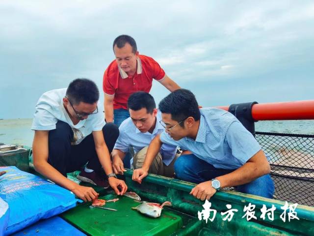 粤海饲料技术团队记录养殖效果。