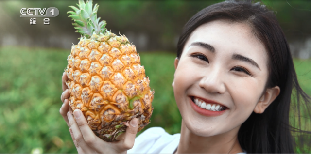 南方農(nóng)村報 樊靜東 制圖