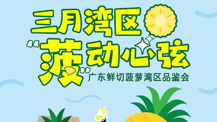 劇透來了,！就在明天,，來海珠湖赴一場廣東菠蘿露營派對