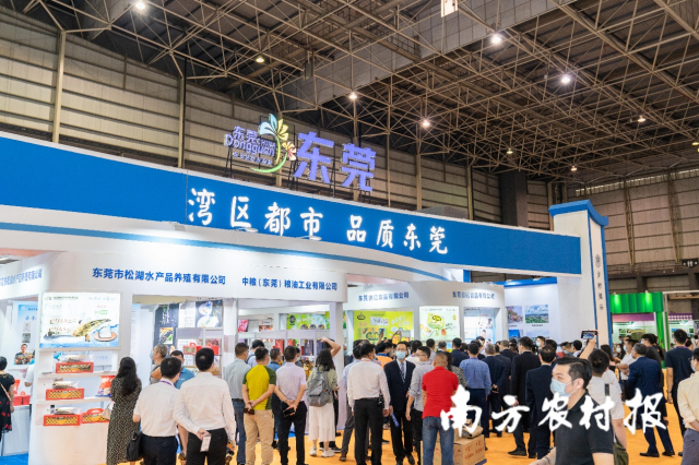 第六届中国国际食品及配料博览会东莞展区。谭家富摄 