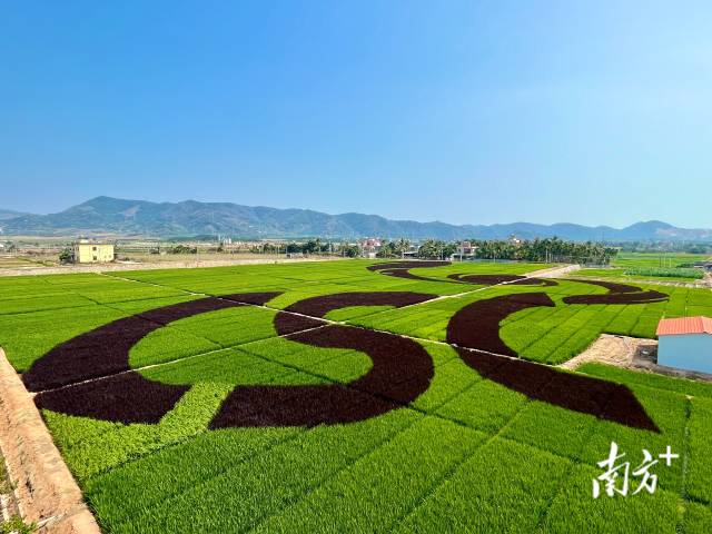 2023中国种子大会暨南繁硅谷论坛地展现场