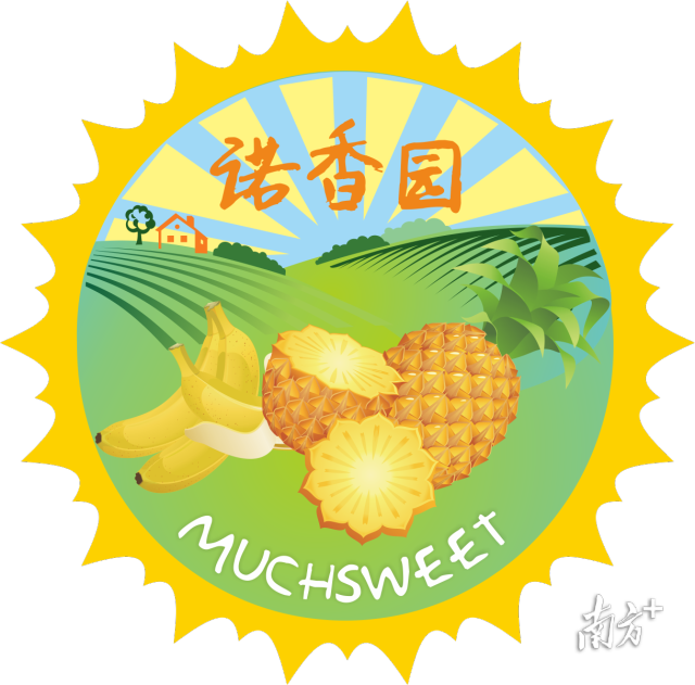 受訪者供圖