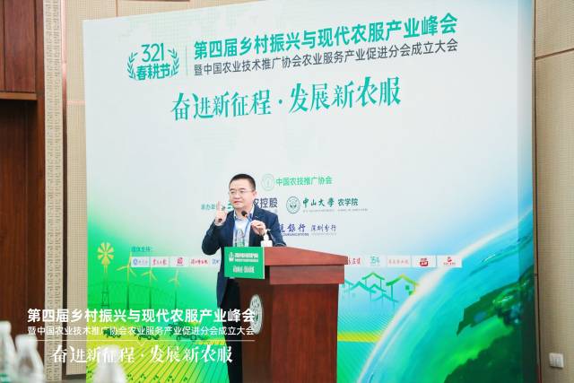 金丰公社联合创始人张祥