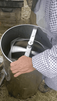 覃梅红正在摇机取蜜。