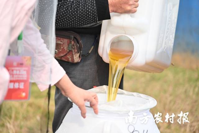取出来的蜂蜜正在过滤。 谭家富 摄。