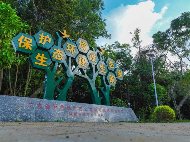 生态公益林示范区植物种类繁多，拥有80多棵古树。何盈 摄