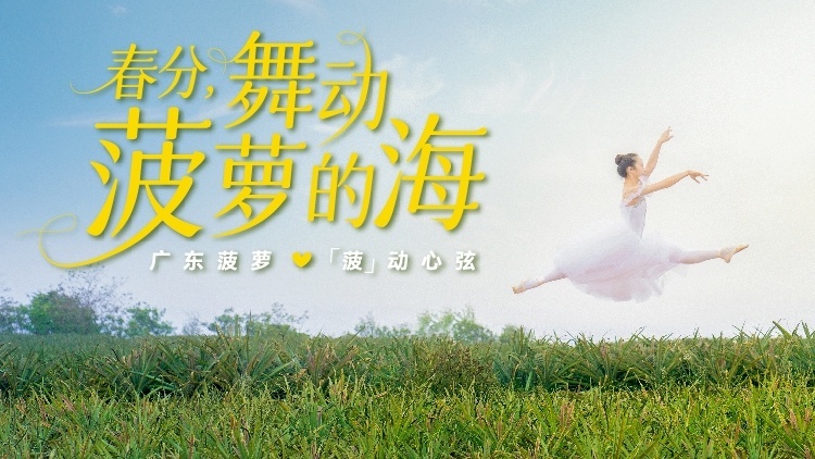 春分，舞動(dòng)菠蘿的海