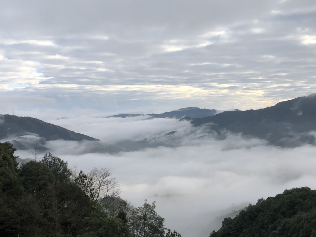 岭南红叶世界山雾