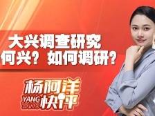大兴调查研究之风为何兴？如何调研？丨杨阿洋快评