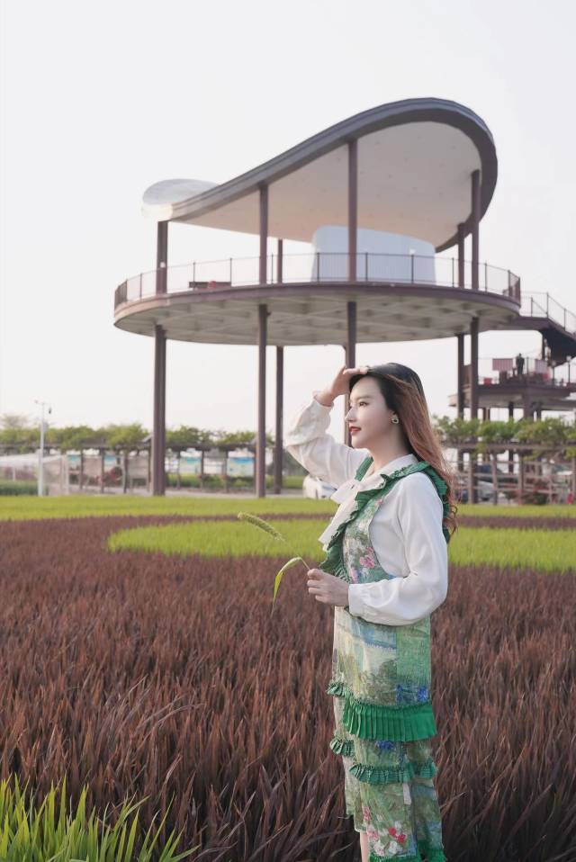 南方农村报 樊静东 制图