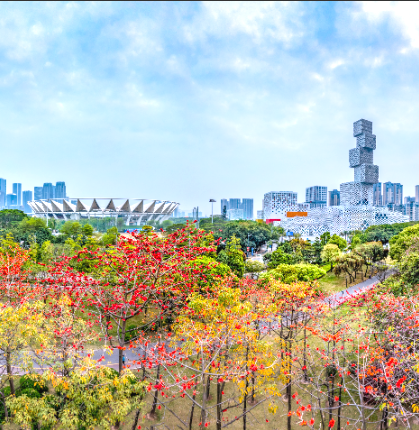 新城春光無限樂從的春,綠意盎然春風吹拂萬物甦醒,佛山公園生機盎然