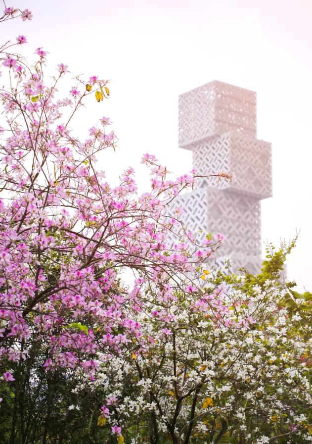 佛山新城演艺中心各类大型演出即将开幕