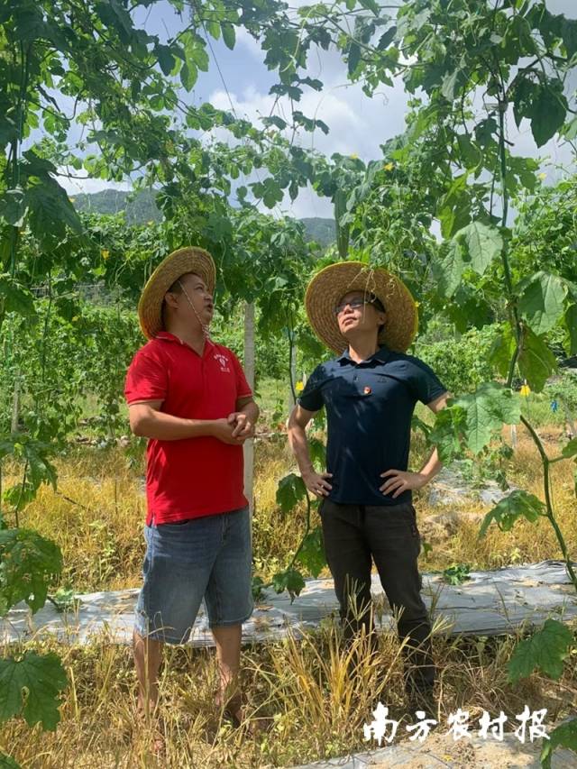 莫小可（左一）在苦瓜藤下