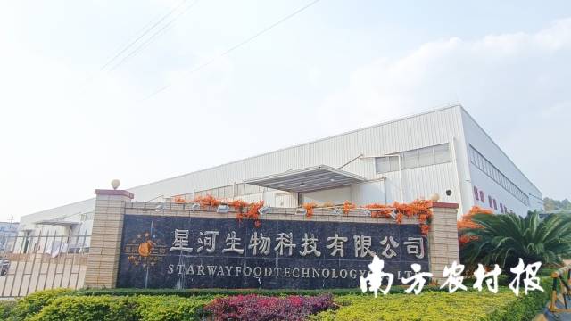 星河生物的预制菜厂房即将竣工。  林健民 摄