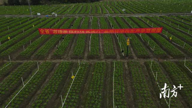 南方农村报 杨鹏 拍摄