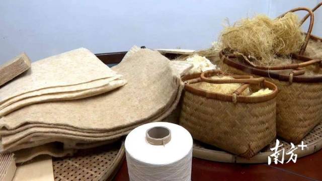 廣寧竹企涉及原竹加工、竹漿造紙,、食用竹筍,、竹纖維、竹子提取物,、竹簽（竹香棒）,、竹塑板材、竹加工機(jī)械等14大類(lèi)100多個(gè)品種,。廣寧縣供圖