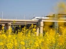 南方观察｜赣深高铁改变两座城！塘厦乘上高质量发展快车