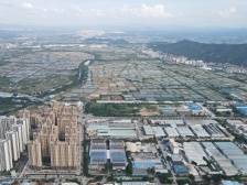 镇委书记打擂台｜力争两年进入千强镇，再造一个新金渡