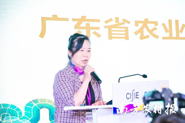 广东省农业对外经济与农民合作促进中心副主任蔡丽君致辞 