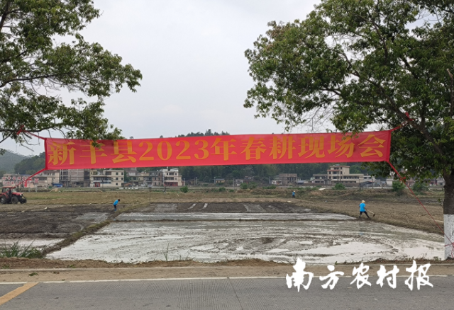 新丰县严抓“七个保障”，扎实下好春耕备耕“先手棋”
