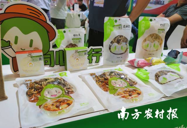 曲江食用菌产品。林晓岚 摄