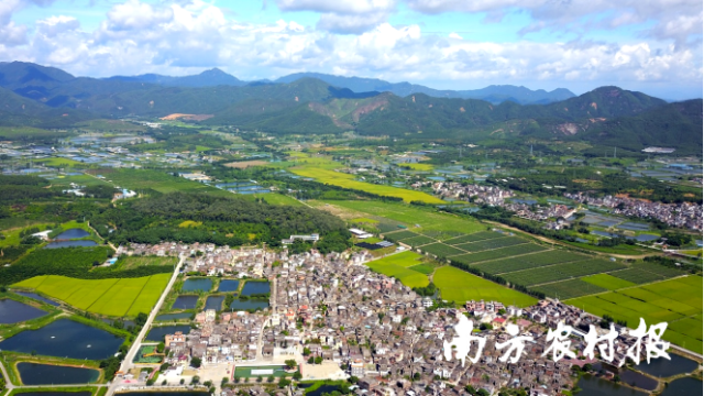 新會區(qū)崖門鎮(zhèn)京梅村。