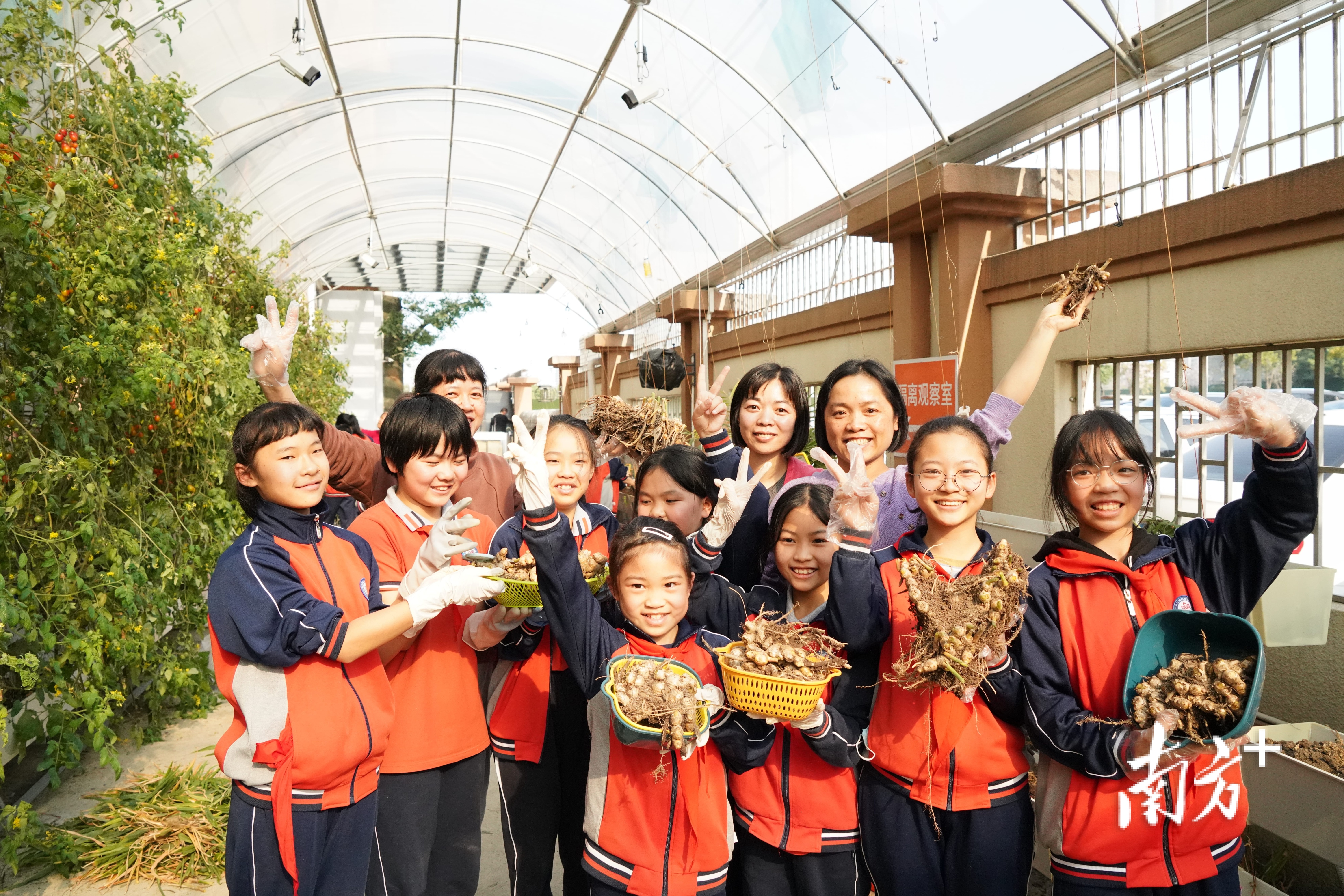 全国唯一！江门景贤小学这个项目获教育部立项_南方plus_南方+