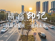 南方视频｜关于高质量发展，企业家们和横岗有个约定