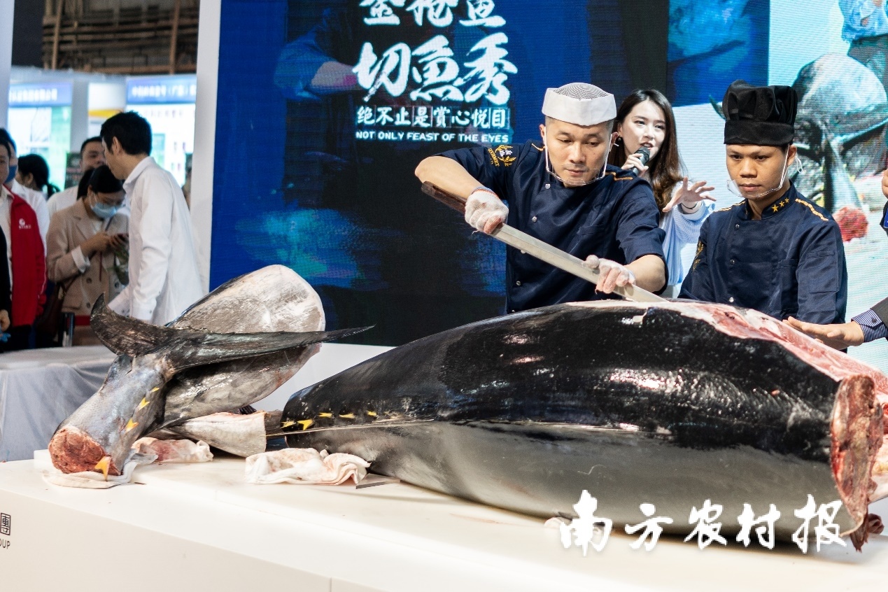 从粮油副食、家常粤菜到珍馐百味、进口牛肉，你想要的一切都能在东莞展区找到！本届食博会·预博会在广东省东莞市举行，会期持续到3月26日。