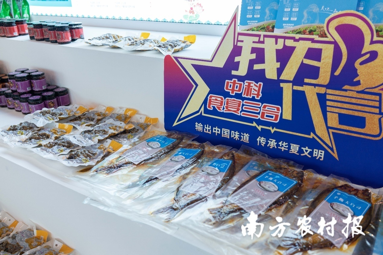 鱼制品系列，中科岭南壹号（广东）农业科技有限公司出品