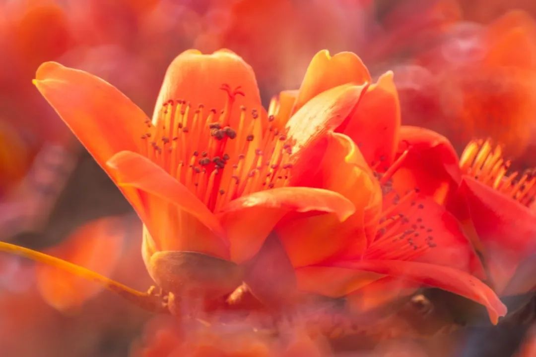 锦湖医院 锦湖医院